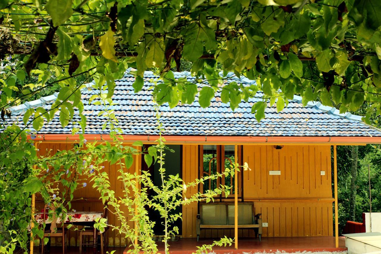 Marari Beach Pearl Homestay Марарикулам Экстерьер фото